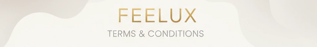 هدر صفحه قوانین و مقررات فروشگاه فیلوکس – Feelux Terms & Conditions